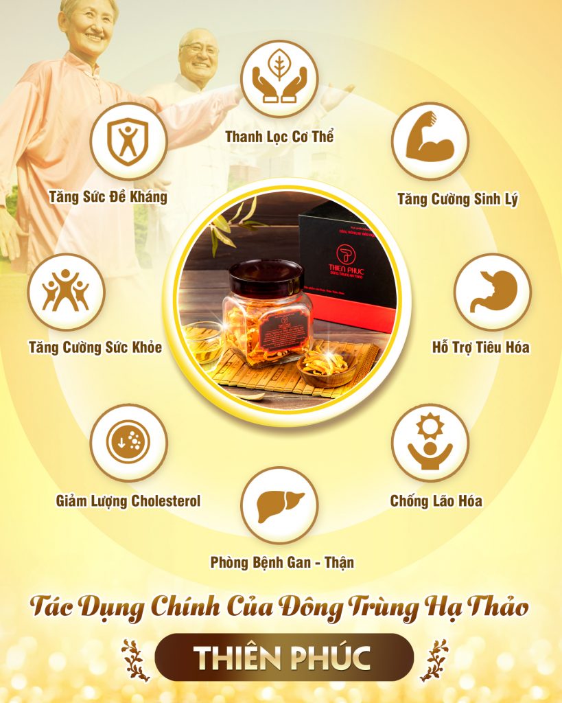 Đông Trùng Hạ Thảo tươi ngâm mật ong có tốt không?