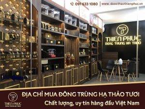 mua đông trùng hạ thảo tươi