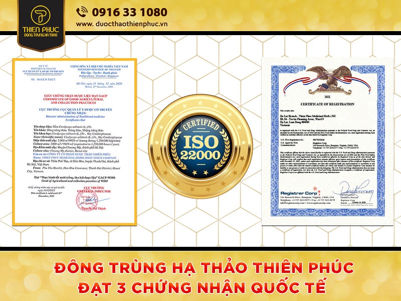 Mua đông trùng hạ thảo chất lượng: Tìm ngay đại lý đông trùng hạ thảo Thiên Phúc