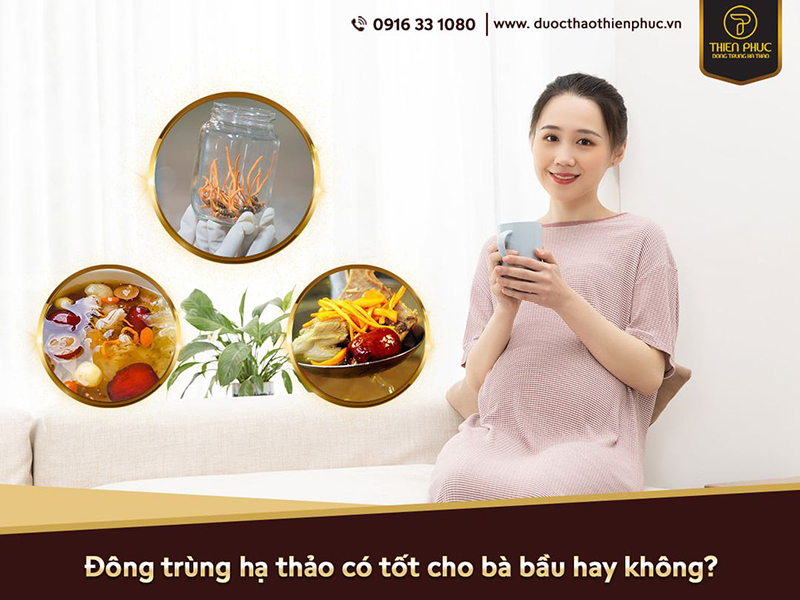 Tác dụng của đông trùng hạ thảo với phụ nữ có thể khiến bạn bất ngờ