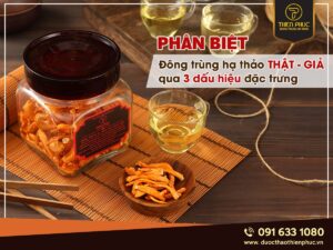 ách phân biệt đông trùng hạ thảo thật giả