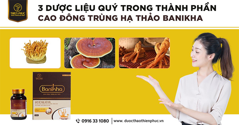 Cao đông trùng hạ thảo Thiên Phúc