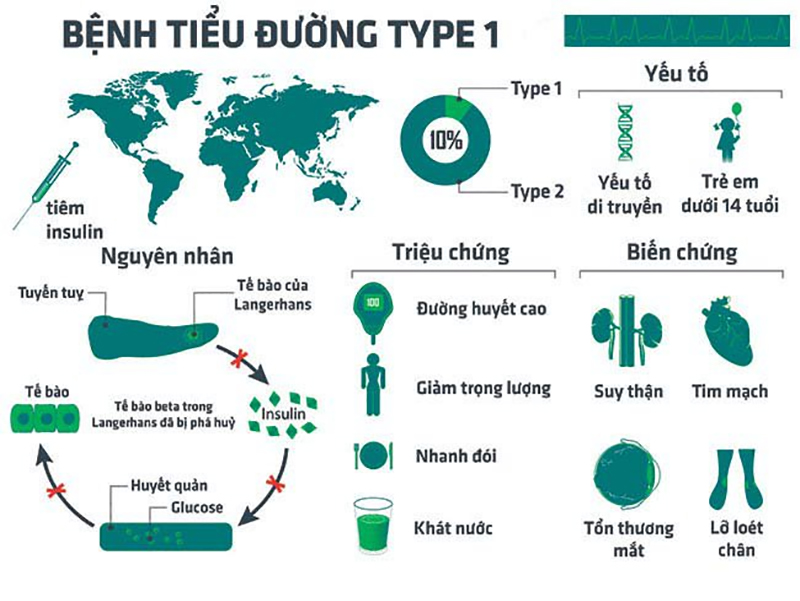 Sự khác biệt của bệnh tiểu đường tuýp 1, tuýp 2