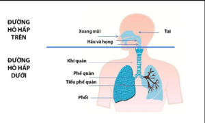 Thời tiết nồm, ẩm, bệnh đường hô hấp khởi phát - Phải làm sao?