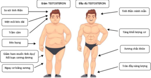 Testosterone thấp ảnh hưởng đến sức khỏe tình dục như thế nào?