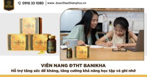 Viên nang đông trùng hạ thảo Banikha - Cùng sĩ tử chinh phục thành công