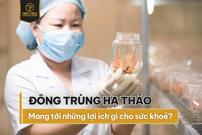 6 lợi ích cho sức khỏe khi sử dụng Đông trùng hạ thảo