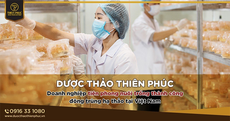 6 lợi ích cho sức khỏe khi sử dụng Đông trùng hạ thảo