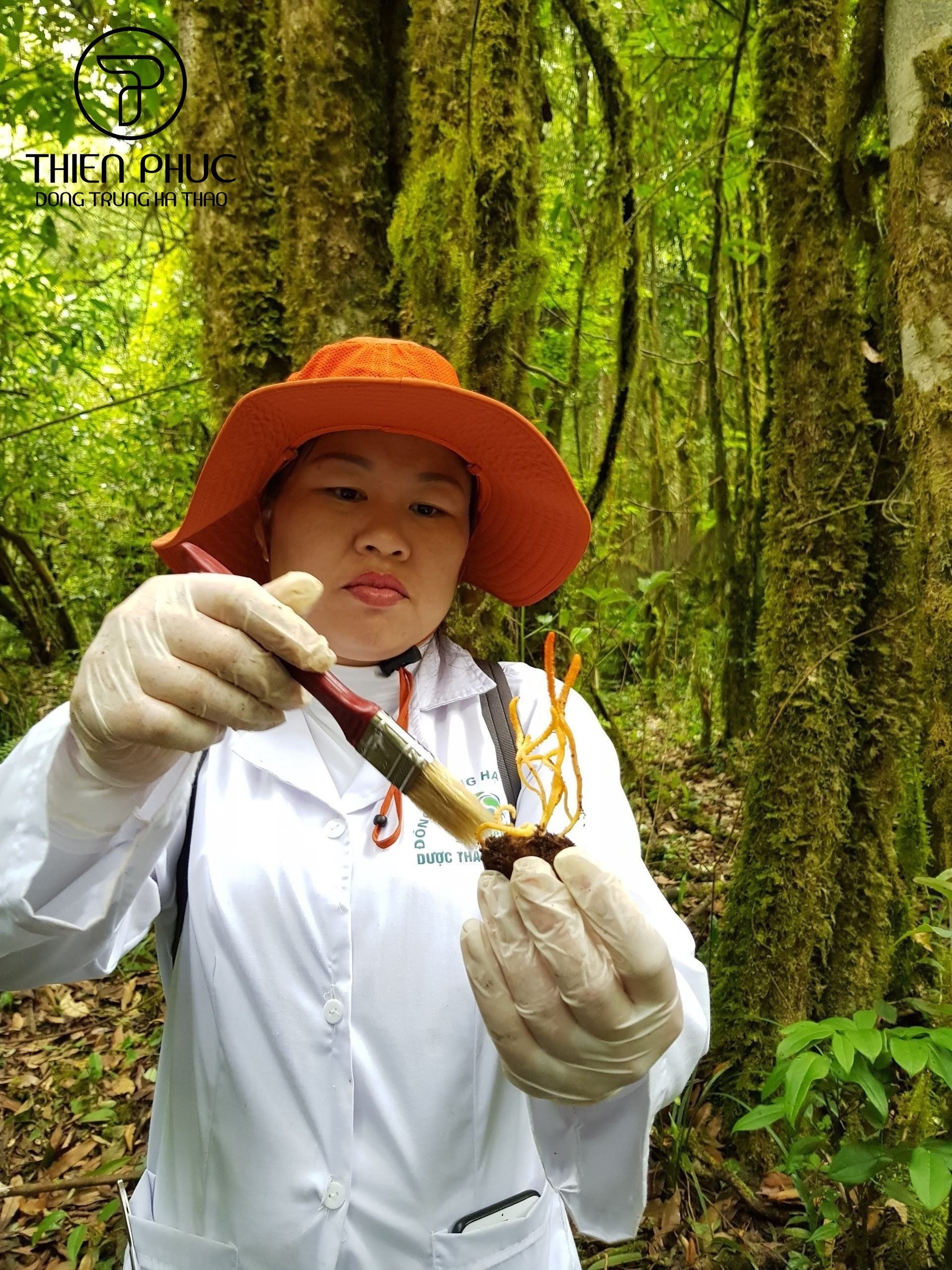 “Bông hồng thép” chinh phục “vàng mềm”