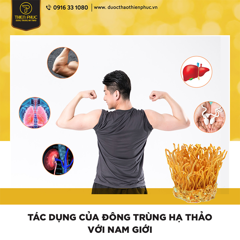 Đông trùng hạ thảo 