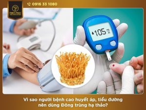 Người bị huyết áp, tiểu đường tại sao nên dùng Đông trùng hạ thảo?