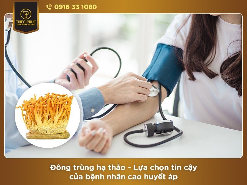 Người bị huyết áp, tiểu đường tại sao nên dùng Đông trùng hạ thảo? 