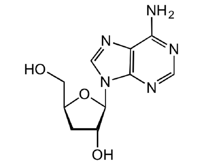 tác dụng của đông trùng