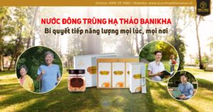 Tiếp năng lượng mọi lúc, mọi nơi cùng Nước đông trùng hạ thảo Banikha