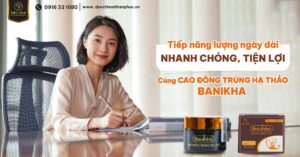 Vì sao Cao đông trùng hạ thảo Banikha được “dân văn phòng" tin chọn?